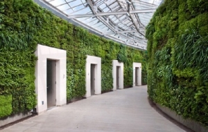 Vertical Greenwall Garden